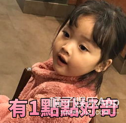 张婧仪|深夜独处仨小时，磕的cp成真了？