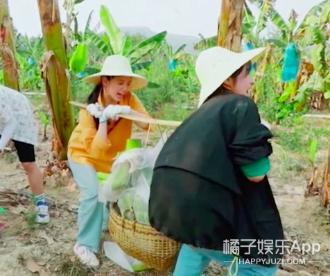 张婧仪|深夜独处仨小时，磕的cp成真了？