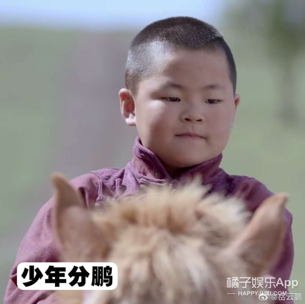 岳云鹏|这不是同一个人吗？