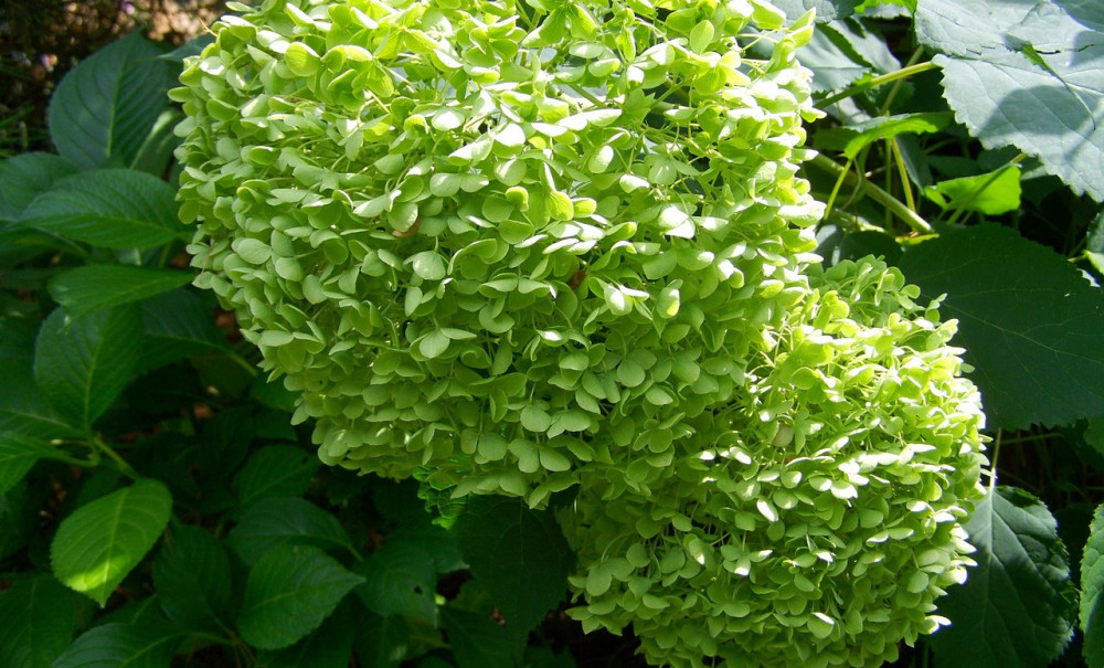 每次恋爱都很刻骨铭心的星座为爱而生感情热烈且长久