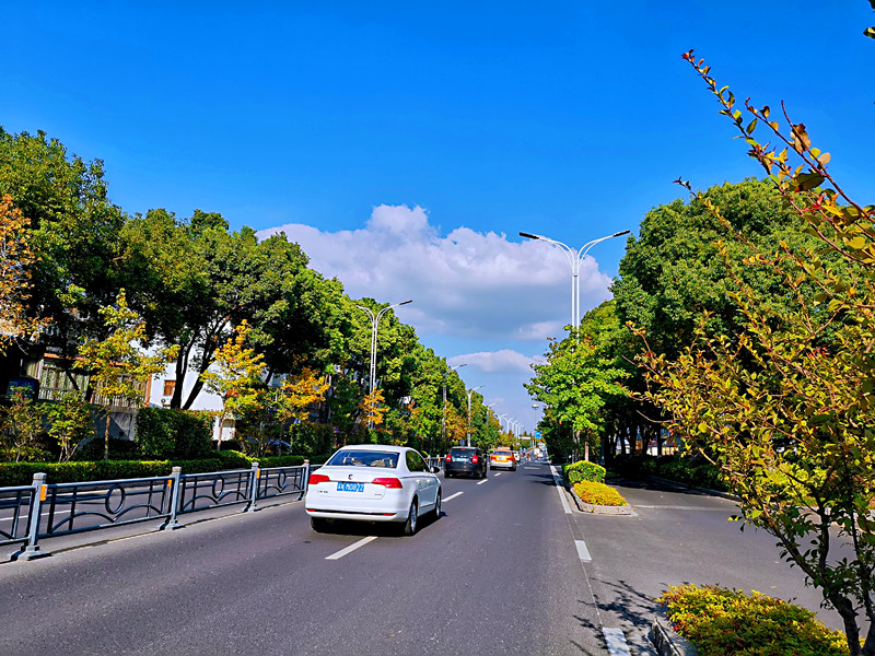 龙城路,天翻地覆慨而慷