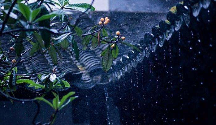 宋-黃庚懷友芭蕉葉上三更雨,正是愁人睡覺時.