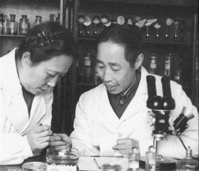 童第周|世界欠童第周一句谢谢：因为他，38年前中国克隆就是世界第一！