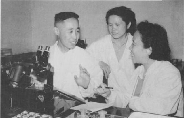 童第周|世界欠童第周一句谢谢：因为他，38年前中国克隆就是世界第一！