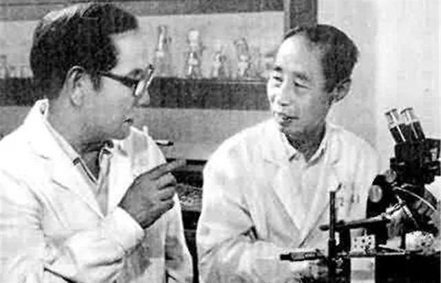 童第周|世界欠童第周一句谢谢：因为他，38年前中国克隆就是世界第一！