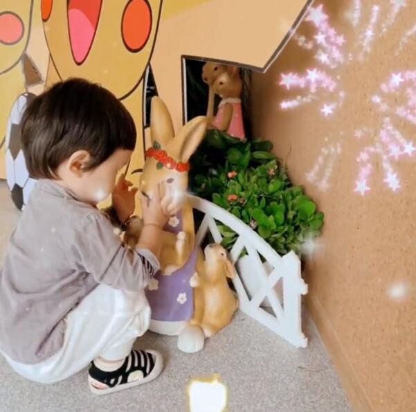 张纪中|张纪中娇妻把一岁半儿子送幼儿园，寄宿在校，在家为老公酿桂花酒