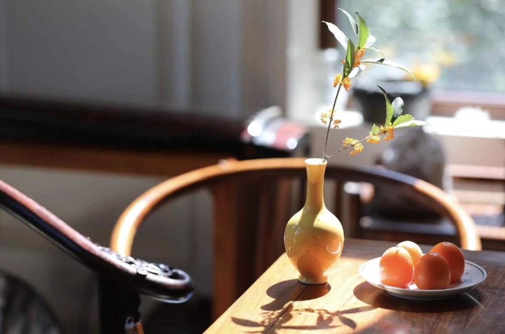 张纪中|张纪中娇妻把一岁半儿子送幼儿园，寄宿在校，在家为老公酿桂花酒