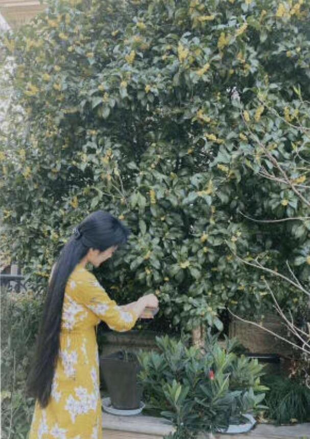 张纪中|张纪中娇妻把一岁半儿子送幼儿园，寄宿在校，在家为老公酿桂花酒