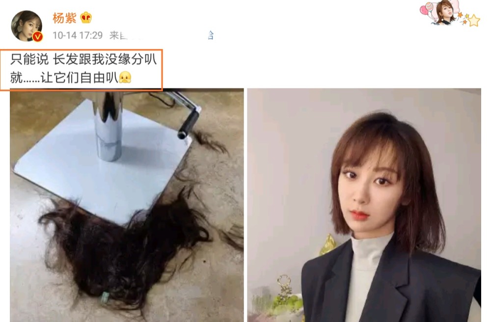 杨紫|杨紫发文：只能说长发跟我无缘叭，看完配图，感觉杨紫真说对了