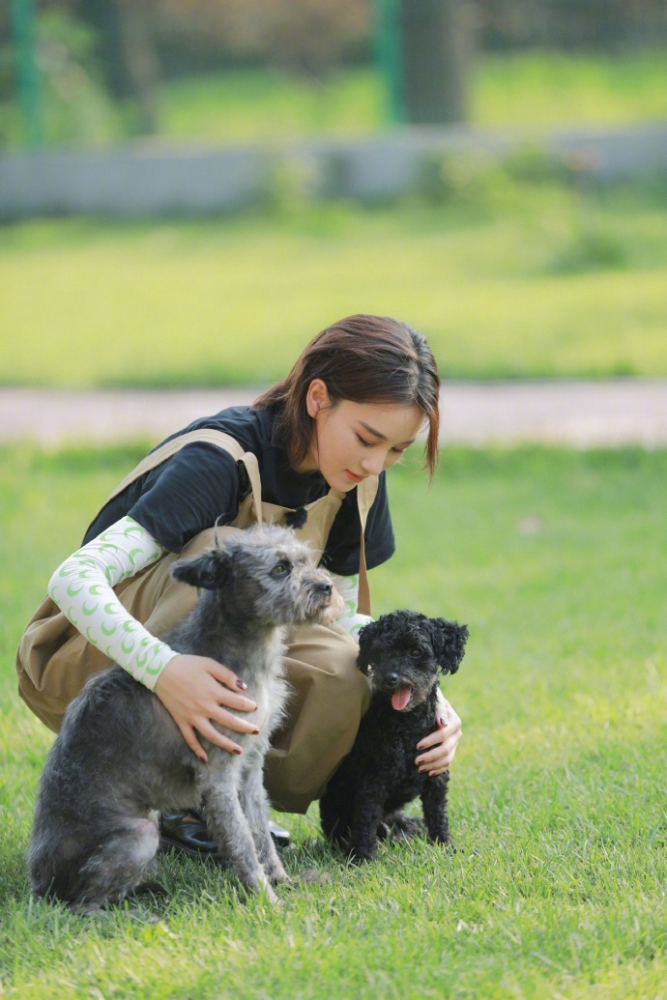张馨予|张馨予发文讲述梦境，自动变性暴揍渣男，不愧为娱乐圈最飒军嫂