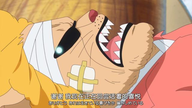 海贼王里最特别的6双眼睛鹰眼能洞察一切罗宾遗传母亲特点