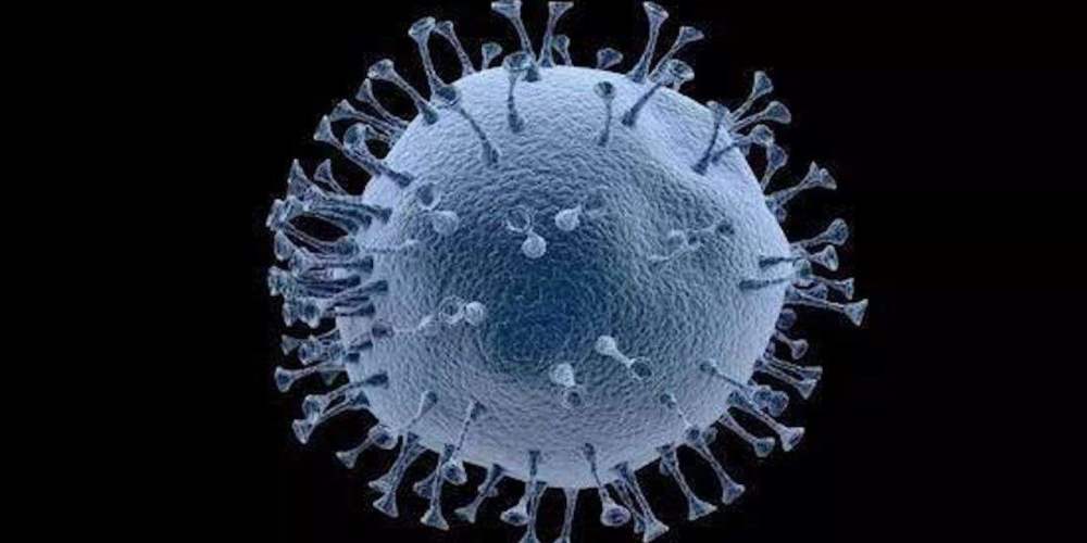 澳大利亚_科技|难怪会确诊3800万！澳大利亚最新研究出炉，新冠竟能存活如此之久