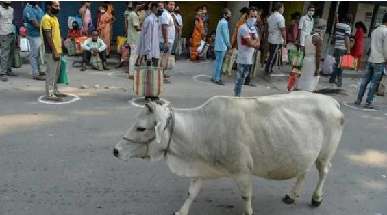 芯片|中国人的难题被攻破了？印度推出一款芯片：10倍出口价卖给美国人