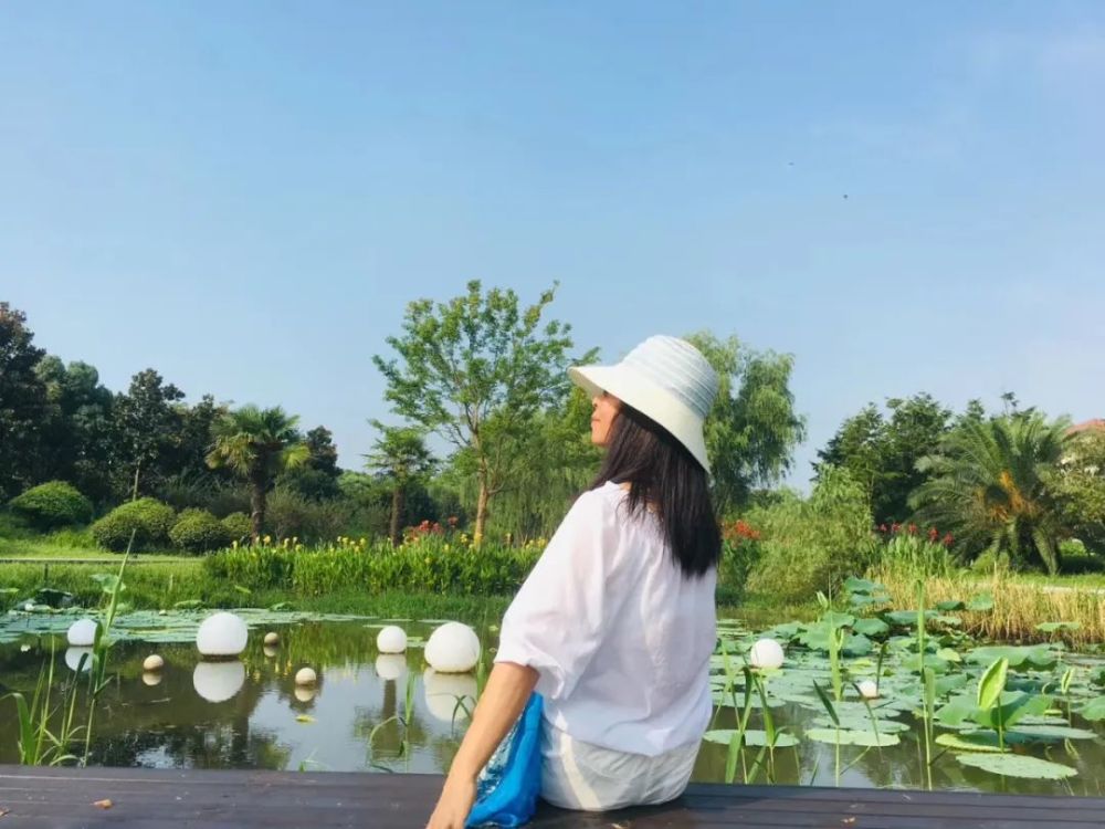 青浦|【青浦文学】我们收获了