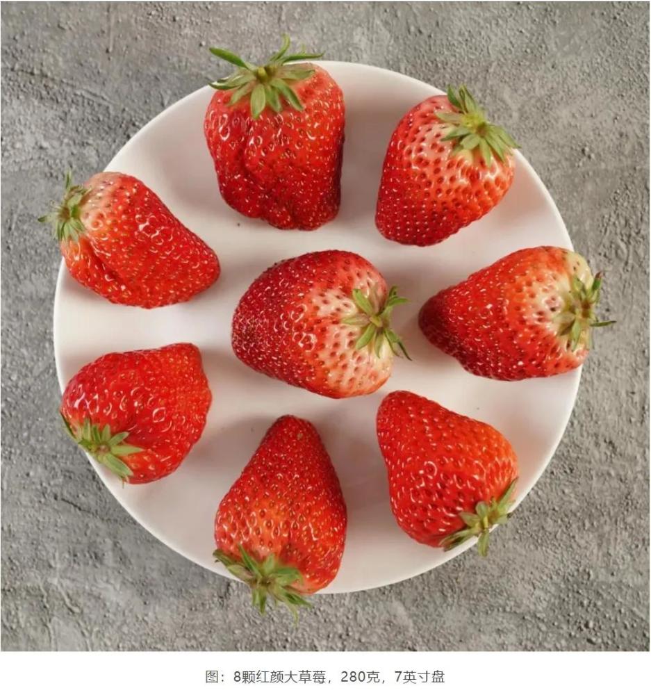 膳食纤维|防治便秘，这5种方法千万别试，终极科学指南来了