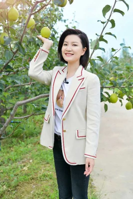 广电人在一线上海东方卫视陈蓉助力脱贫攻坚见证乡村巨变