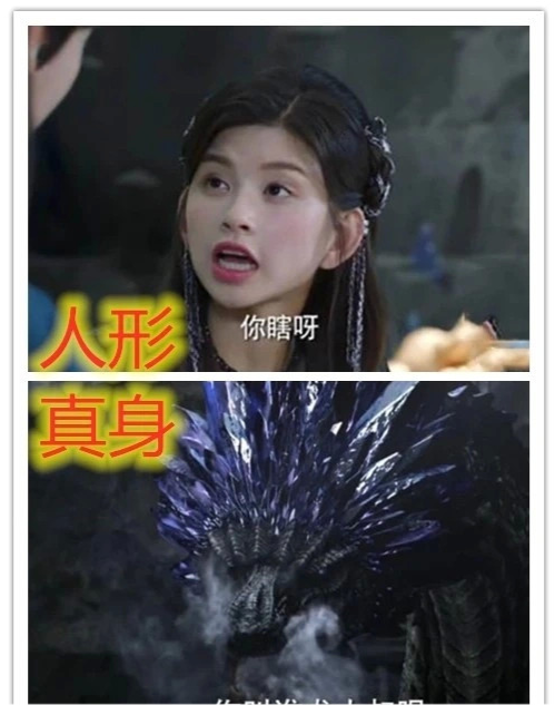 择天记:人形vs真身,徐有容高贵,白落衡霸气十足,看到陈长生哭出了声!