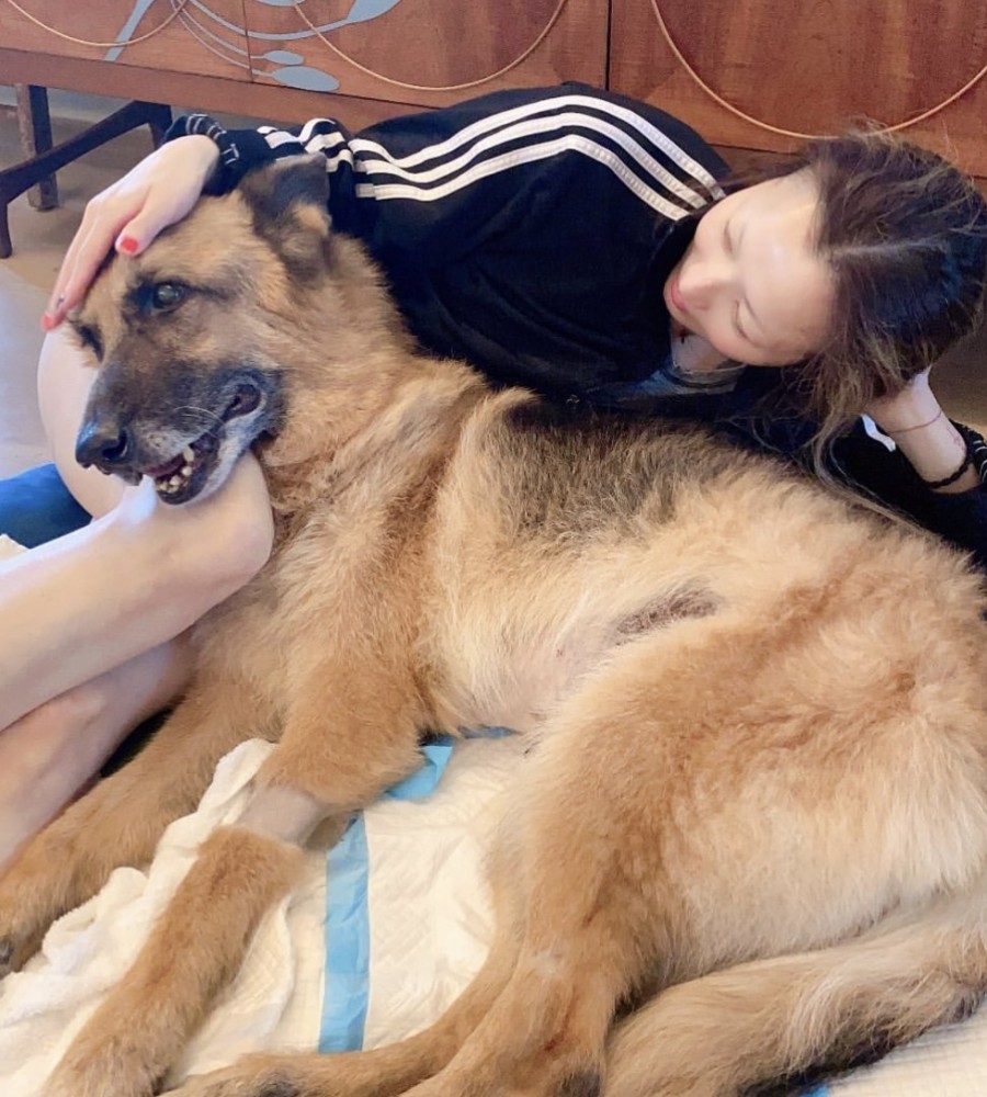 许志安|许志安明年复出，陪郑秀文探望岳父获原谅，复出得到妻子窝心支持