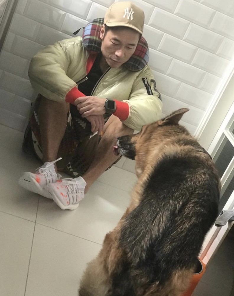 许志安|许志安明年复出，陪郑秀文探望岳父获原谅，复出得到妻子窝心支持