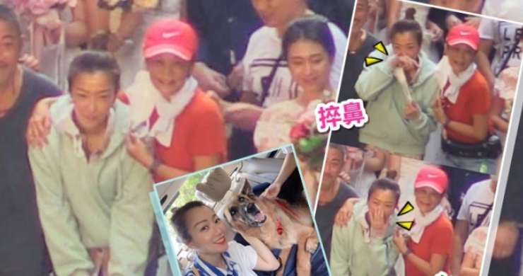 郑秀文|爱犬离世后，郑秀文强颜欢笑开工偷偷抹眼泪，许志安陪伴走出悲痛