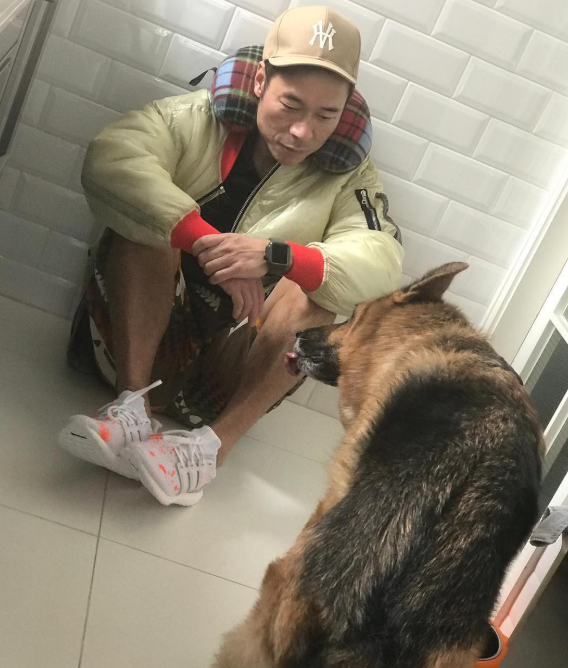 郑秀文|爱犬离世后，郑秀文强颜欢笑开工偷偷抹眼泪，许志安陪伴走出悲痛