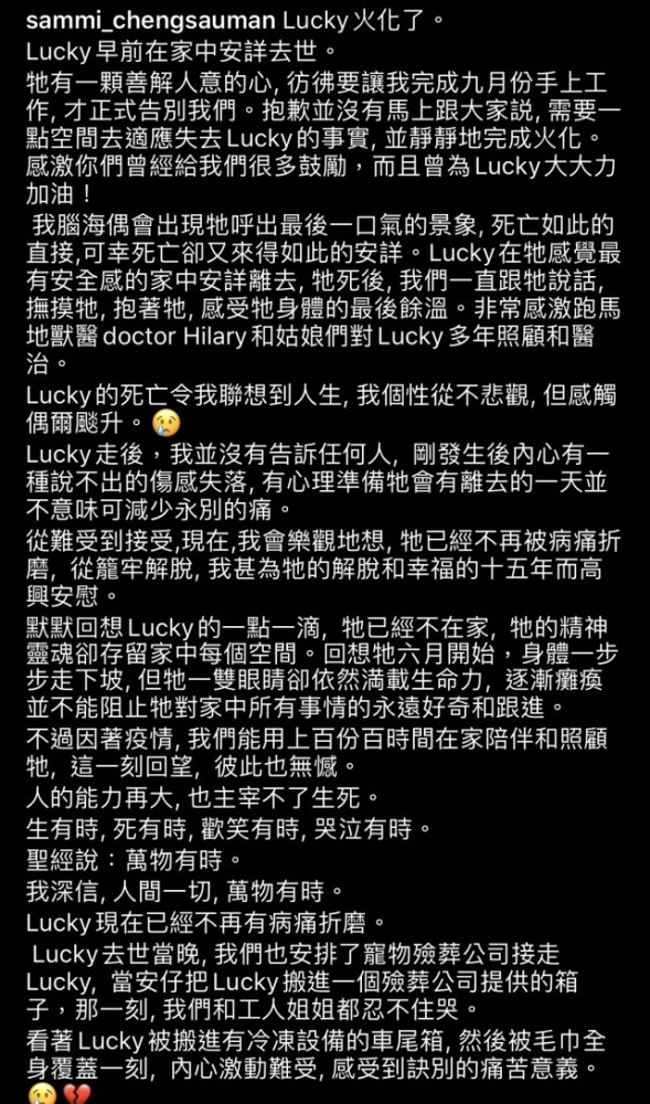 郑秀文|爱犬离世后，郑秀文强颜欢笑开工偷偷抹眼泪，许志安陪伴走出悲痛