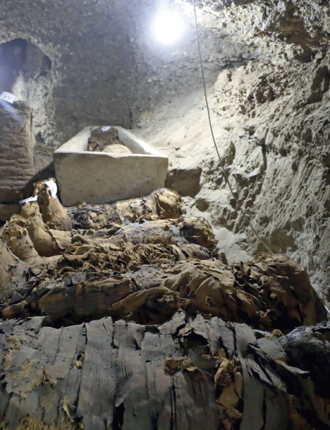 古埃及人|木乃伊带我们探秘古埃及基因史