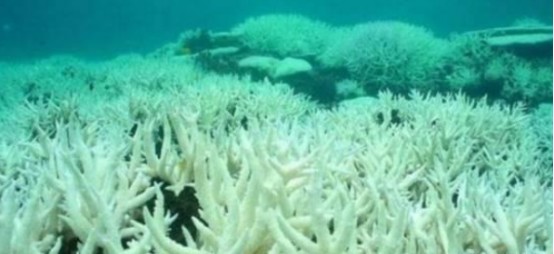 地球|恐龙灭绝后1000万年，地球又发生大事件！人类若不注意将会重演