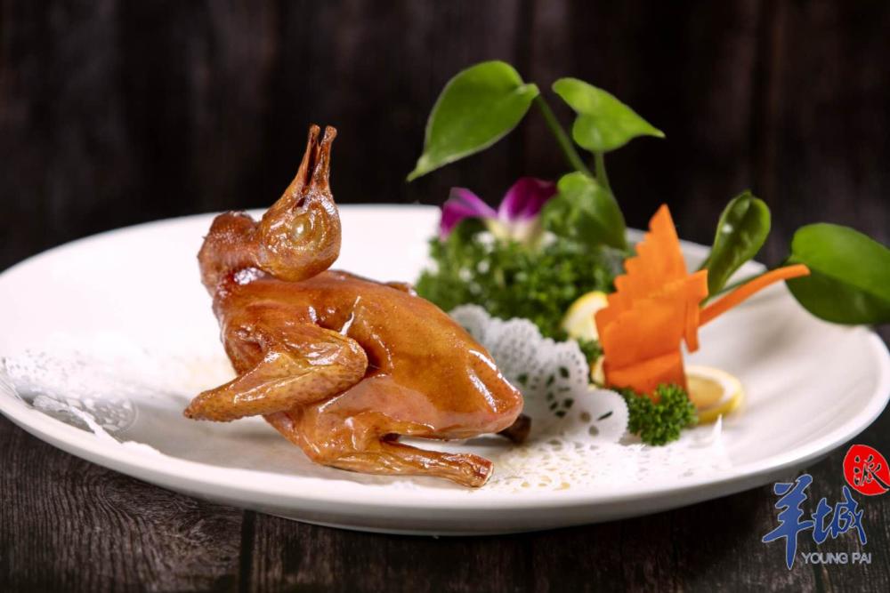 百年中山石岐鸽有望迎来创业20时代