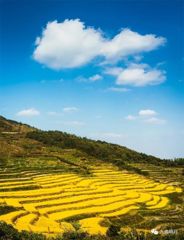 奉化中部第一高峰大雷山秋韵 高峰 大雷山 奉化 大雷怀谢遗尘 石门村