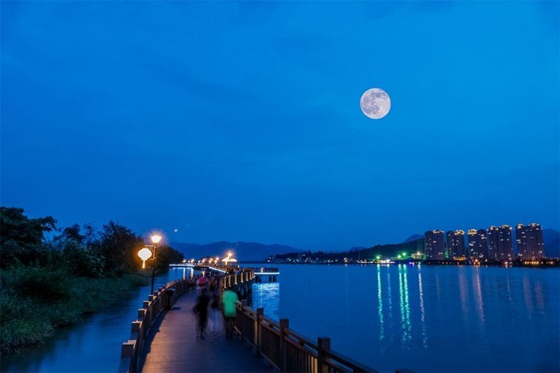 姚辉峰|姚辉峰｜又逢月圆