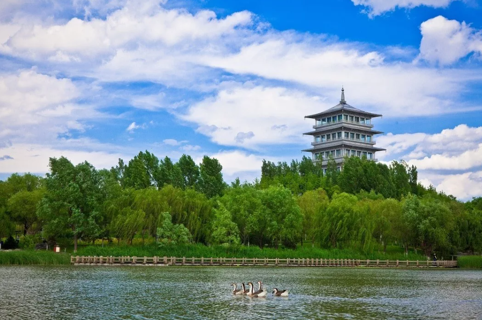 重点项目持续推进 让市民更有幸福感