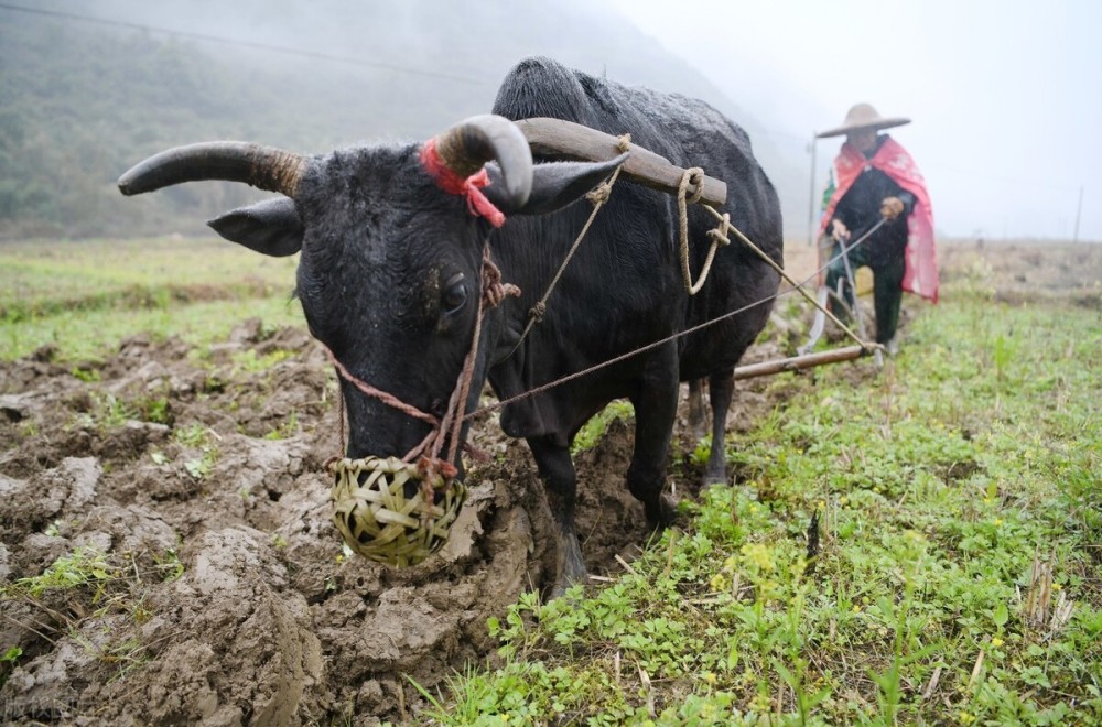 两大利好提振央行释放稳定剂a股摇鞭赶牛