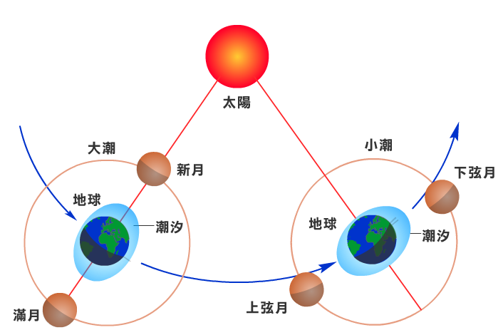 太阳|地球反射弧慢？为什么太阳消失了，地球8分钟后才能反应过来？