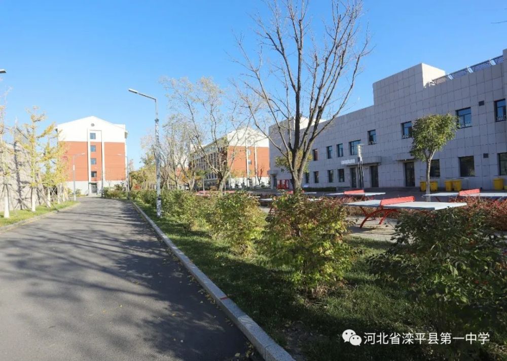 老舍|一叶落而知天下秋，请君共看滦平一中校园里最美的秋！