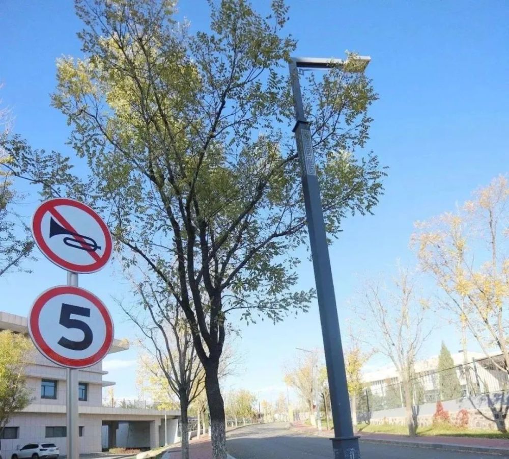 老舍|一叶落而知天下秋，请君共看滦平一中校园里最美的秋！