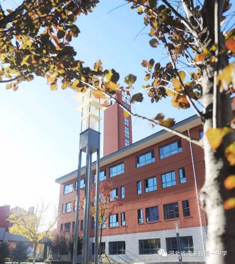 老舍|一叶落而知天下秋，请君共看滦平一中校园里最美的秋！
