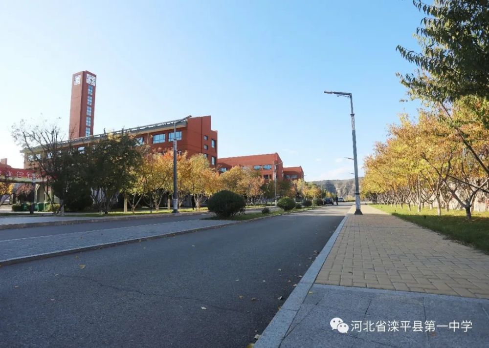 老舍|一叶落而知天下秋，请君共看滦平一中校园里最美的秋！