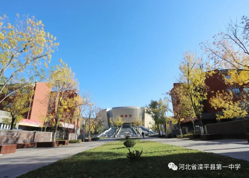 老舍|一叶落而知天下秋，请君共看滦平一中校园里最美的秋！
