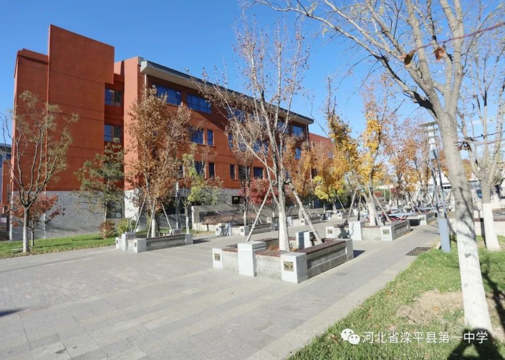 老舍|一叶落而知天下秋，请君共看滦平一中校园里最美的秋！