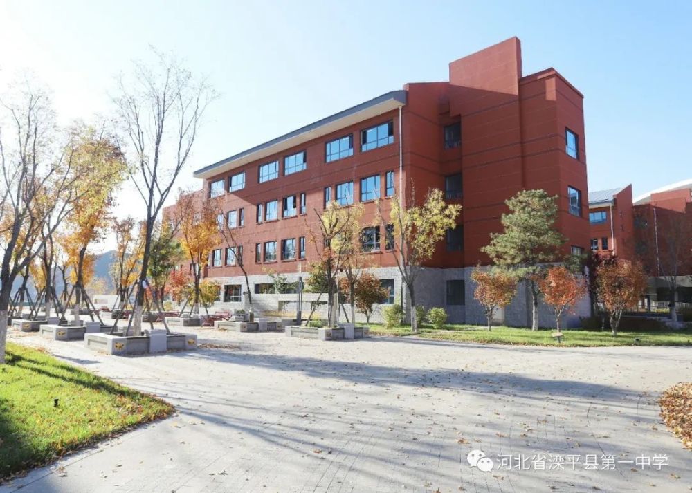 老舍|一叶落而知天下秋，请君共看滦平一中校园里最美的秋！