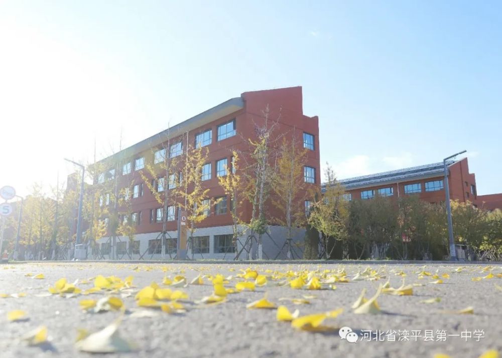 老舍|一叶落而知天下秋，请君共看滦平一中校园里最美的秋！