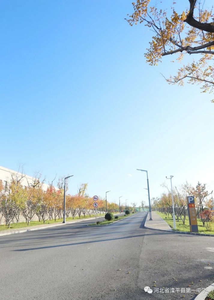 老舍|一叶落而知天下秋，请君共看滦平一中校园里最美的秋！