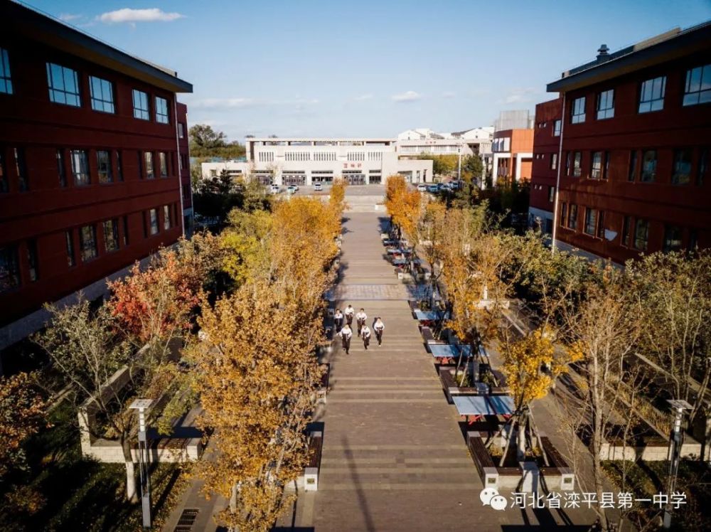 老舍|一叶落而知天下秋，请君共看滦平一中校园里最美的秋！