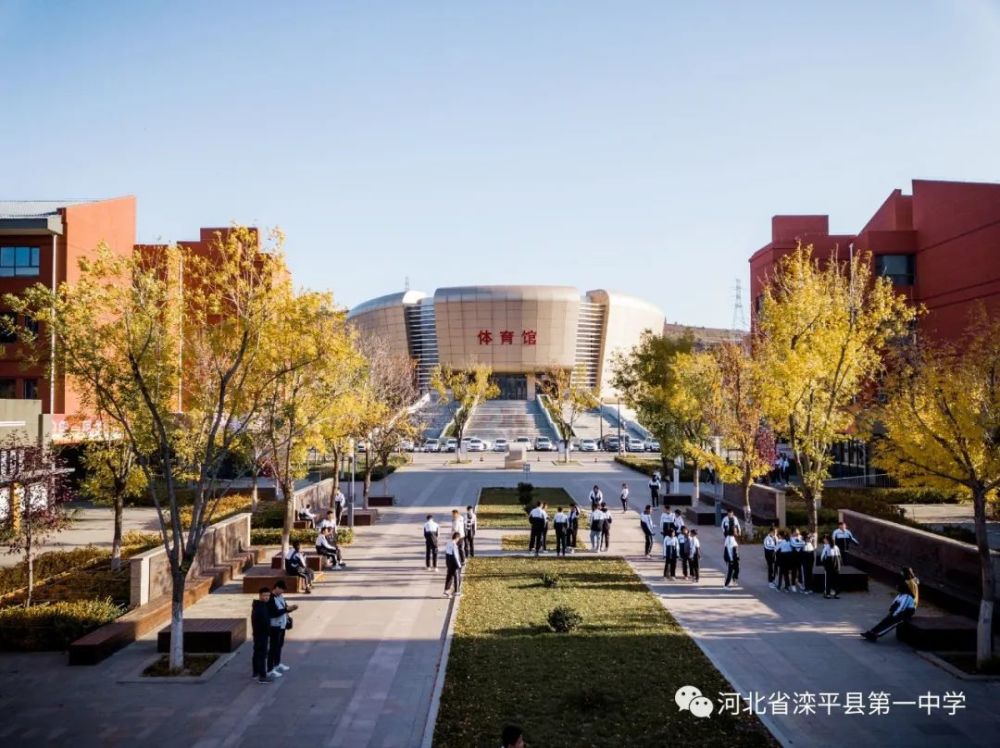 老舍|一叶落而知天下秋，请君共看滦平一中校园里最美的秋！