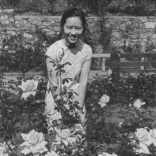 原子弹|一个推翻宇宙定律的女人，为什么没有她原子弹就要晚10年出现