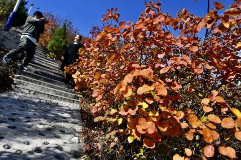西山村|寻迹京西山村 醉赏深秋红叶