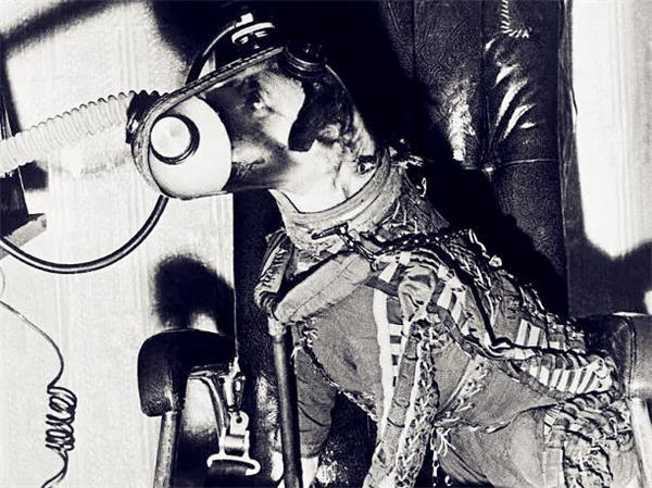 徕卡|苏联曾将一只3岁小狗送入太空，62年过去，如今仍在地球轨道流浪