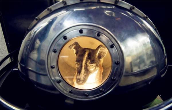 徕卡|苏联曾将一只3岁小狗送入太空，62年过去，如今仍在地球轨道流浪