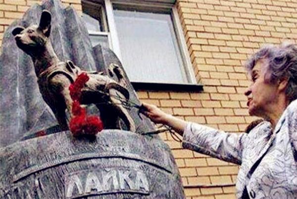 徕卡|苏联曾将一只3岁小狗送入太空，62年过去，如今仍在地球轨道流浪